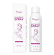 Silky Beauty Hair Spray GIBBS